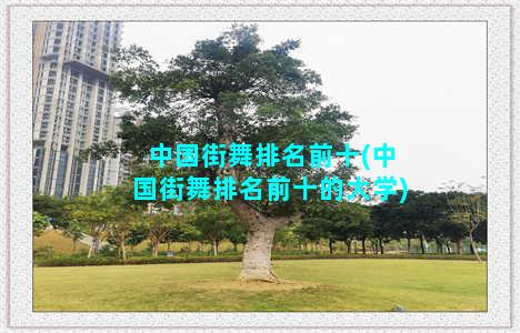 中国街舞排名前十(中国街舞排名前十的大学)