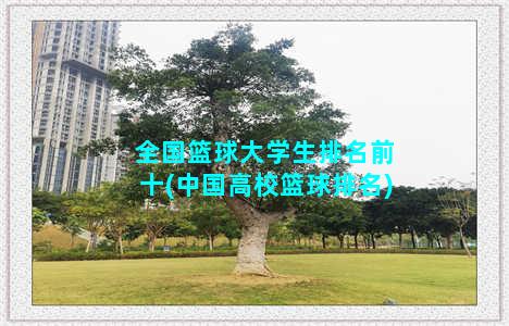 全国篮球大学生排名前十(中国高校篮球排名)