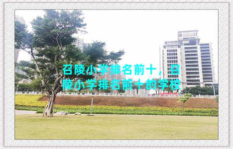 召陵小学排名前十，召陵小学排名前十的学校