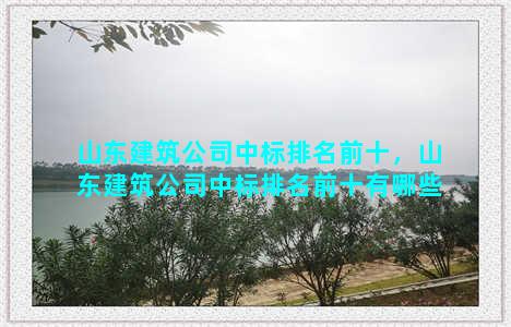 山东建筑公司中标排名前十，山东建筑公司中标排名前十有哪些