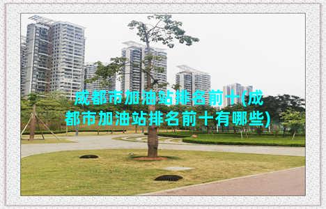 成都市加油站排名前十(成都市加油站排名前十有哪些)