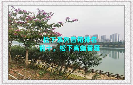 松下系列音箱排名前十，松下高端音箱