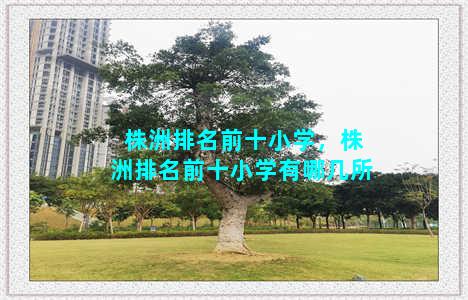 株洲排名前十小学，株洲排名前十小学有哪几所